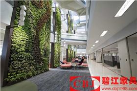 辦公室休息區 辦公室息區