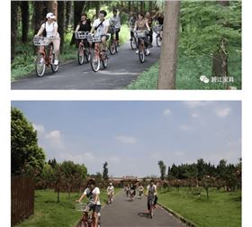 碧江員工崇明島一日游