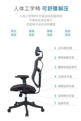 人體工學椅 人體工學椅