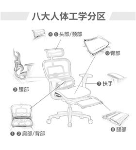 人體工學辦公椅 人體工學辦公椅