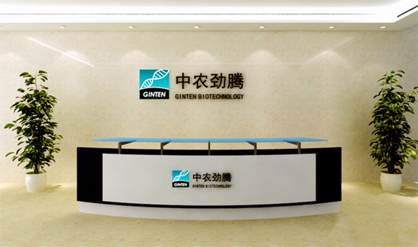 碧江上海辦公家具前臺接待區設計