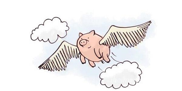 站對風(fēng)口浪尖,上海辦公家具廠家也能像“豬”一樣飛起來