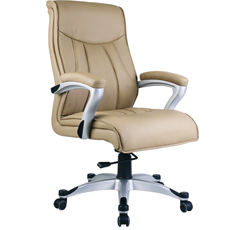 辦公椅——DY8039 辦公椅——DY8039